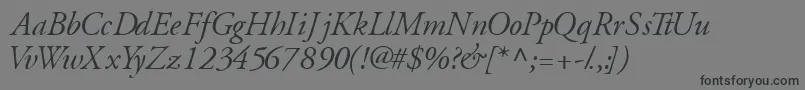 GaramondsskItalic Font – Black Fonts on Gray Background