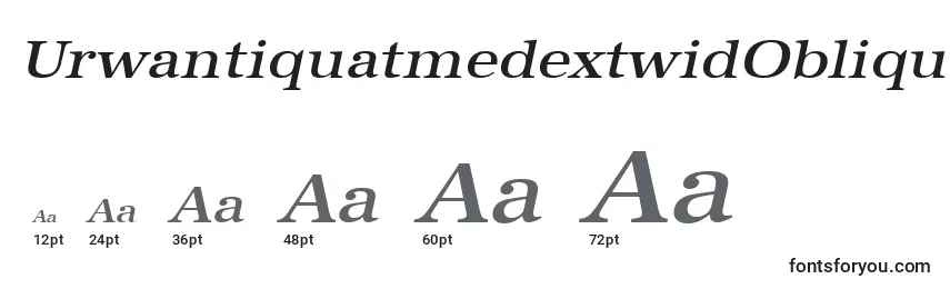 Размеры шрифта UrwantiquatmedextwidOblique