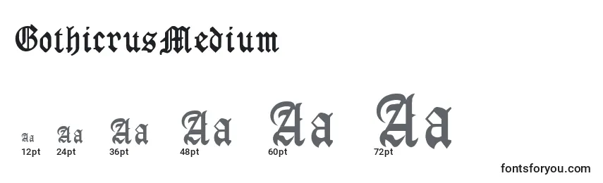 Размеры шрифта GothicrusMedium