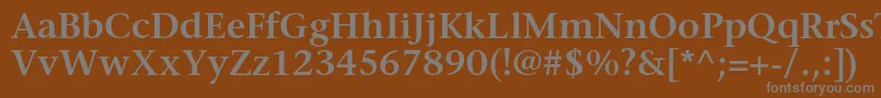 Czcionka StoneserifstdSemibold – szare czcionki na brązowym tle