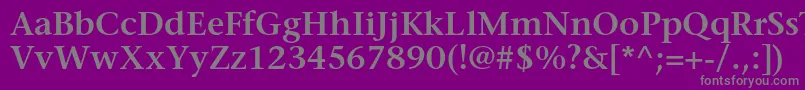 StoneserifstdSemibold-Schriftart – Graue Schriften auf violettem Hintergrund