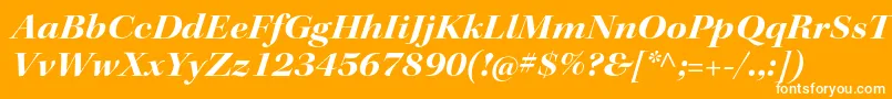 KeplerstdBoldextitdisp Font – White Fonts on Orange Background