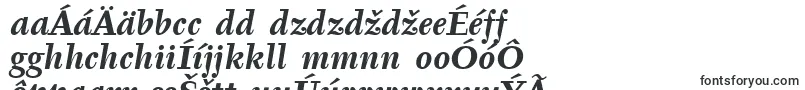 Подробнее о шрифте TyfaItcBoldItalic Шрифт TyfaItcBoldItalic – словацкие шрифты
