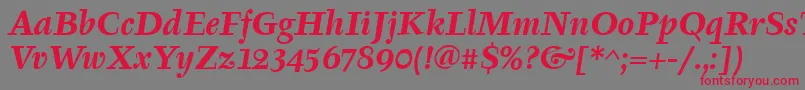 TyfaItcBoldItalic Font – Red Fonts on Gray Background