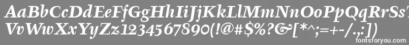 フォントTyfaItcBoldItalic – 灰色の背景に白い文字