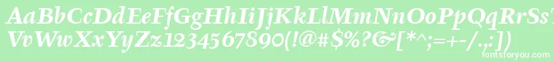 TyfaItcBoldItalic Font – White Fonts on Green Background