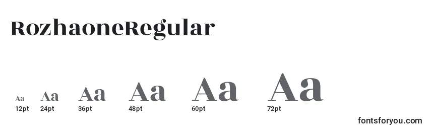 Размеры шрифта RozhaoneRegular