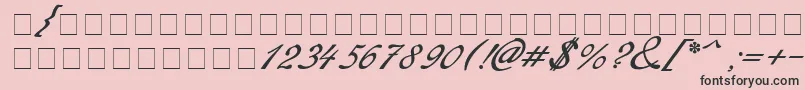 Redinger-Schriftart – Schwarze Schriften auf rosa Hintergrund