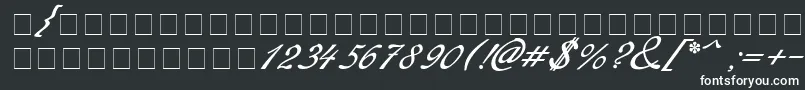 Redinger-fontti – valkoiset fontit mustalla taustalla