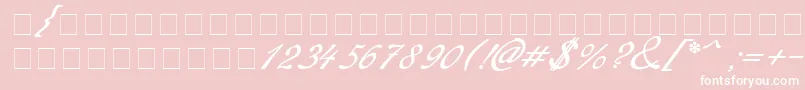 Redinger Font – White Fonts on Pink Background