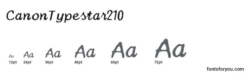 CanonTypestar210 Font Sizes