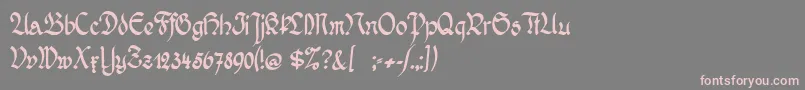 Wernickeschwabacher Font – Pink Fonts on Gray Background