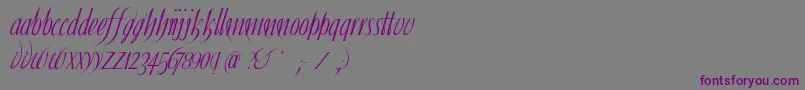 Ibleum-Schriftart – Violette Schriften auf grauem Hintergrund