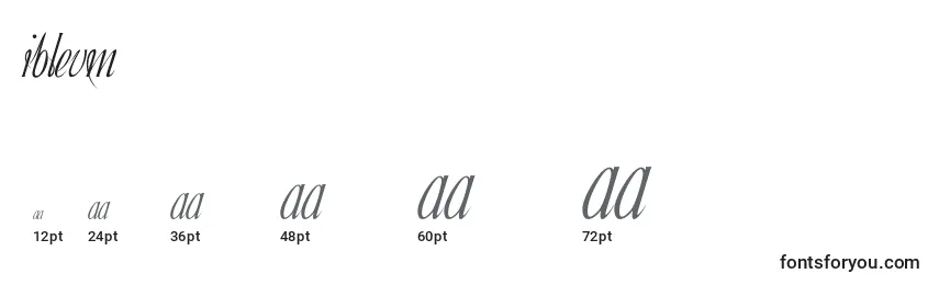 Ibleum Font Sizes