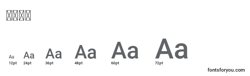 䝉乚䅤敭 Font Sizes