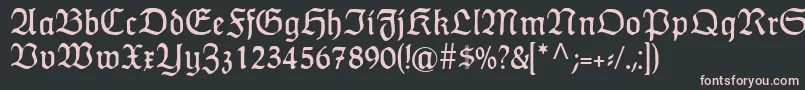 HumboldtfrakturRegular Font – Pink Fonts on Black Background