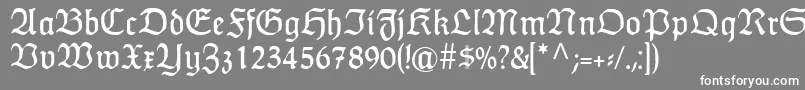 フォントHumboldtfrakturRegular – 灰色の背景に白い文字