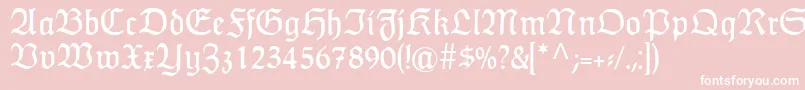 HumboldtfrakturRegular Font – White Fonts on Pink Background