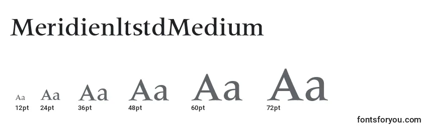 Размеры шрифта MeridienltstdMedium