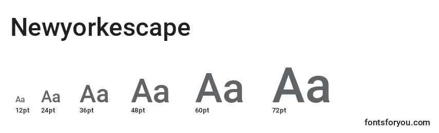 Размеры шрифта Newyorkescape