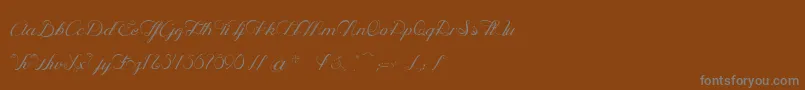 OpheliaScriptLight Font – Gray Fonts on Brown Background