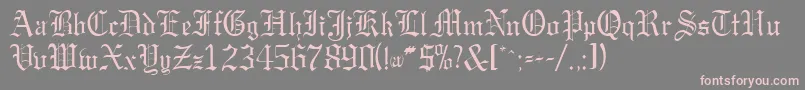 GargoylesskRegular Font – Pink Fonts on Gray Background