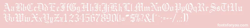 GargoylesskRegular Font – White Fonts on Pink Background