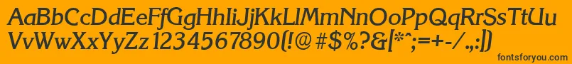 KorinthserialMediumItalic Font – Black Fonts on Orange Background