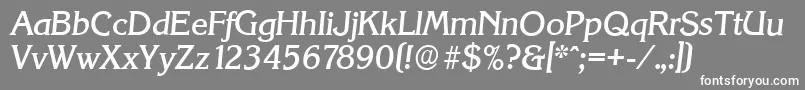 フォントKorinthserialMediumItalic – 灰色の背景に白い文字