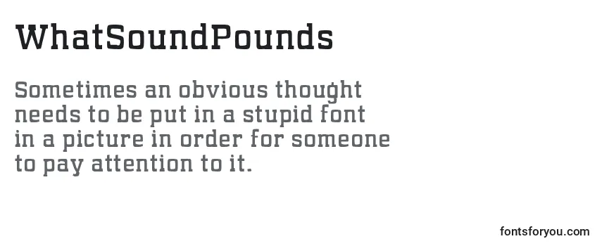 Обзор шрифта WhatSoundPounds (92802)