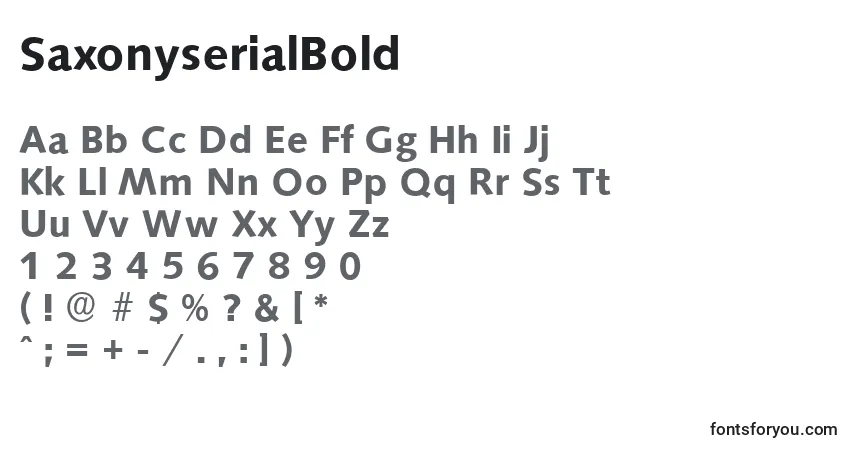 Шрифт SaxonyserialBold – алфавит, цифры, специальные символы