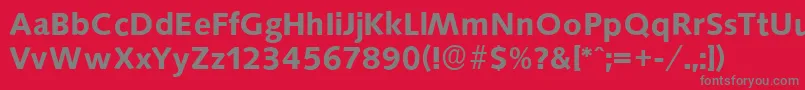 SaxonyserialBold Font – Gray Fonts on Red Background