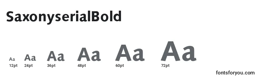SaxonyserialBold Font Sizes