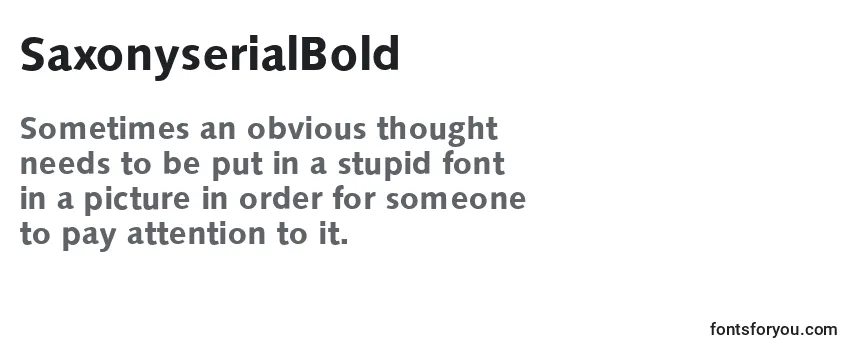 Review of the SaxonyserialBold Font