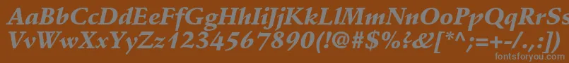 Czcionka DeutchBlackSsiBlackItalic – szare czcionki na brązowym tle