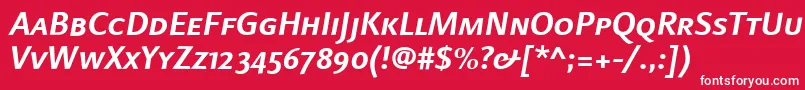 フォントLinotypefinneganscBolditalic – 赤い背景に白い文字