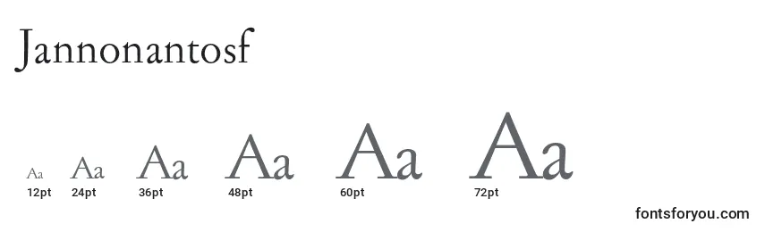 Размеры шрифта Jannonantosf