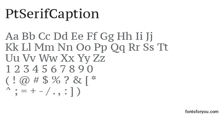 Czcionka PtSerifCaption – alfabet, cyfry, specjalne znaki