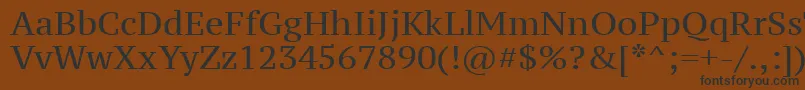 PtSerifCaption Font – Black Fonts on Brown Background
