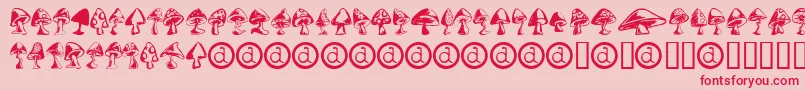 Shrooms-Schriftart – Rote Schriften auf rosa Hintergrund