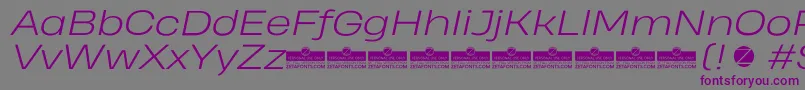 HeadingProWideLightItalicTrial Font – Purple Fonts on Gray Background