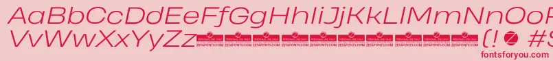 HeadingProWideLightItalicTrial Font – Red Fonts on Pink Background