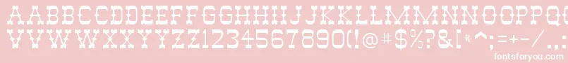 RodeoRegular Font – White Fonts on Pink Background