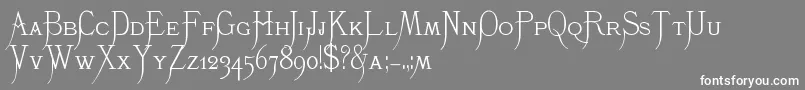フォントK22Monastic – 灰色の背景に白い文字