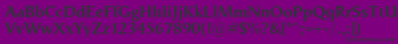 VegaAntikvaBold Font – Black Fonts on Purple Background