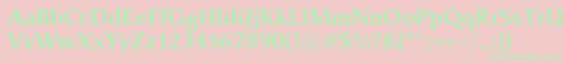 VegaAntikvaBold Font – Green Fonts on Pink Background