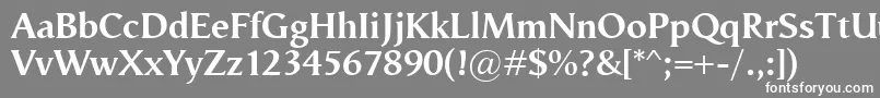 VegaAntikvaBold Font – White Fonts on Gray Background