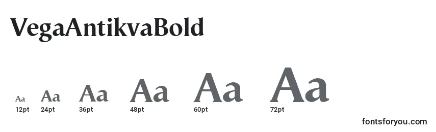 VegaAntikvaBold Font Sizes