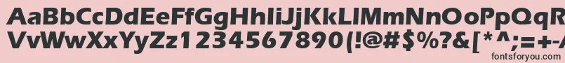 ErlangenblackdbNormal Font – Black Fonts on Pink Background