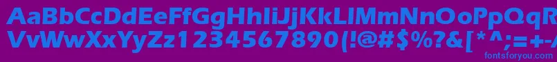 ErlangenblackdbNormal Font – Blue Fonts on Purple Background